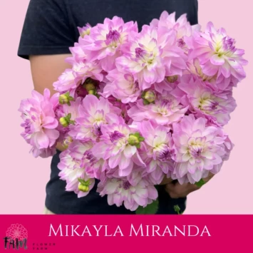 Dalia Mikayla Miranda - Fam Flower Farm
