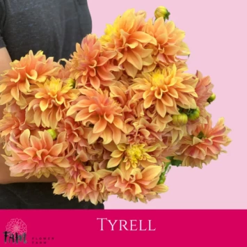 Dalia Tyrell - Fam Flower Farm