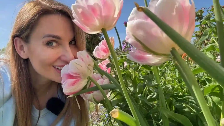 Sadzenie tulipanów w ogrodzie – inspiracje i wskazówki