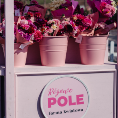 Kolorowe kwiaty na farmie Różowe Pole