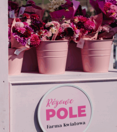 Kolorowe kwiaty na farmie Różowe Pole