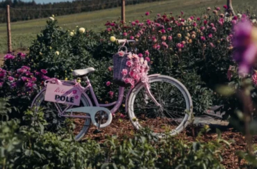 Relacja z Pierwszego Dnia Otwartego na Różowym Polu