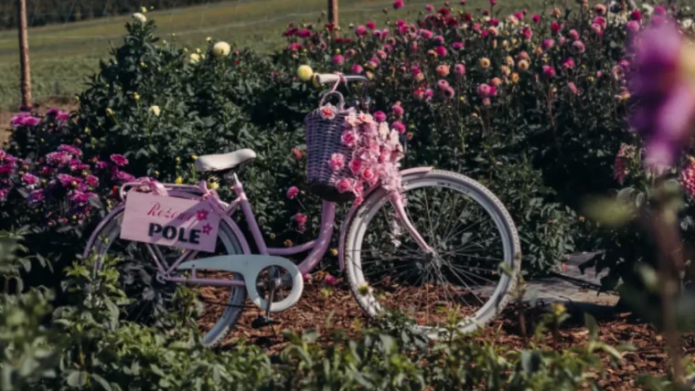 Relacja z Pierwszego Dnia Otwartego na Różowym Polu