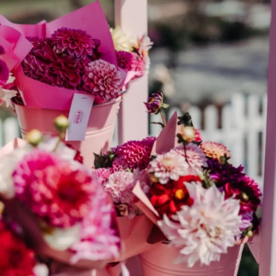 Kwiaty na farmie Różowe Pole