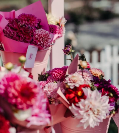 Kwiaty na farmie Różowe Pole