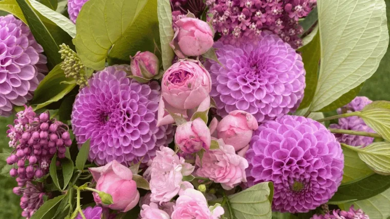 PIKNIK VIP 17 sierpnia 2025 15:00-19:00