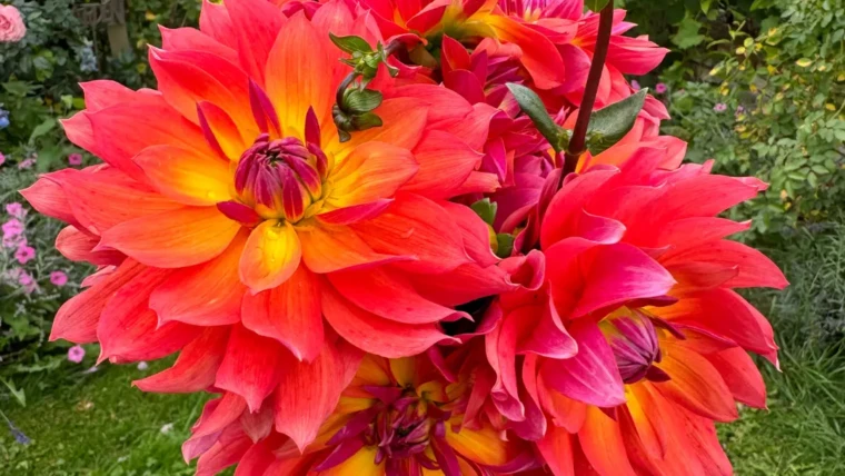 Dzień Otwarty 31 sierpnia 2025