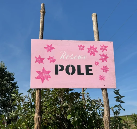 Różowe Pole