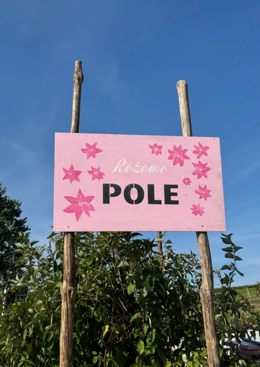 Różowe Pole