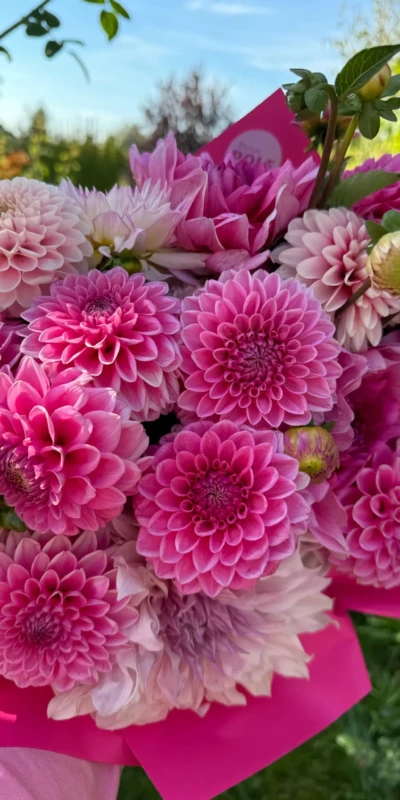 duzy_bukiet_rozowe_pole