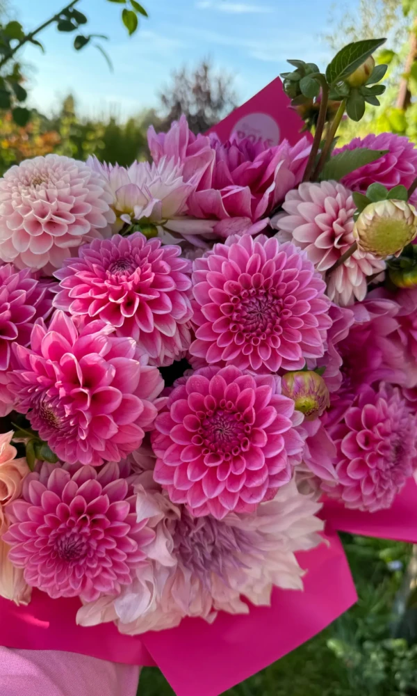 duzy_bukiet_rozowe_pole