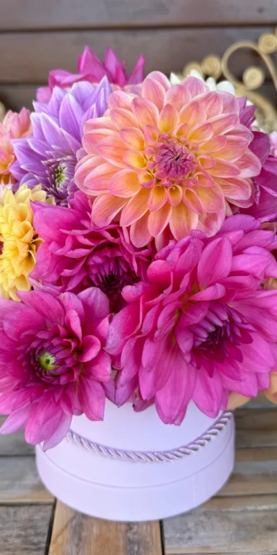 flower_box_farma_kwiatowa