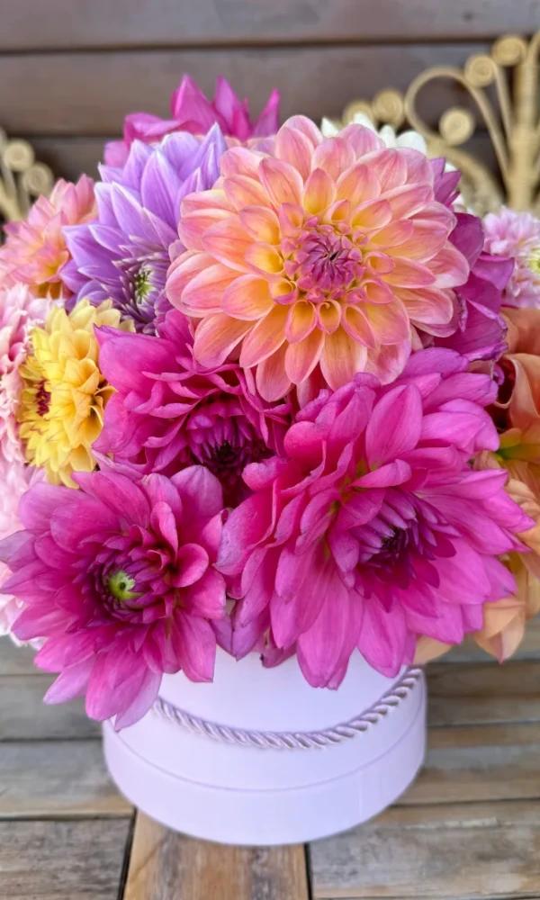 flower_box_farma_kwiatowa