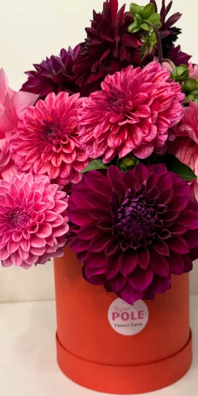 flower_box_rozowe_pole