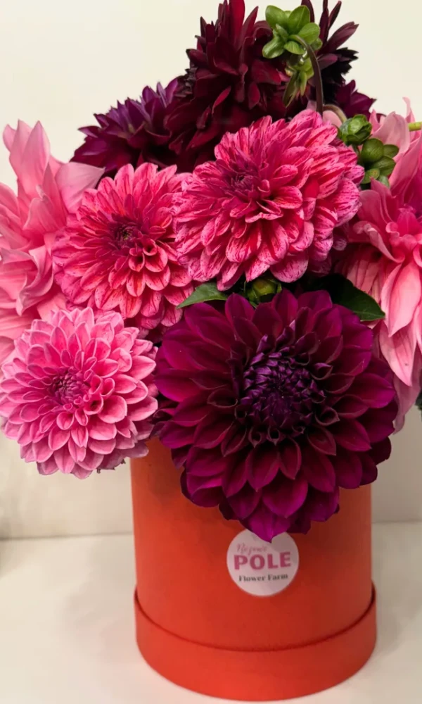 flower_box_rozowe_pole