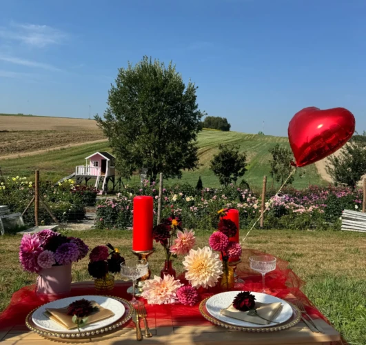 piknik-walentynki