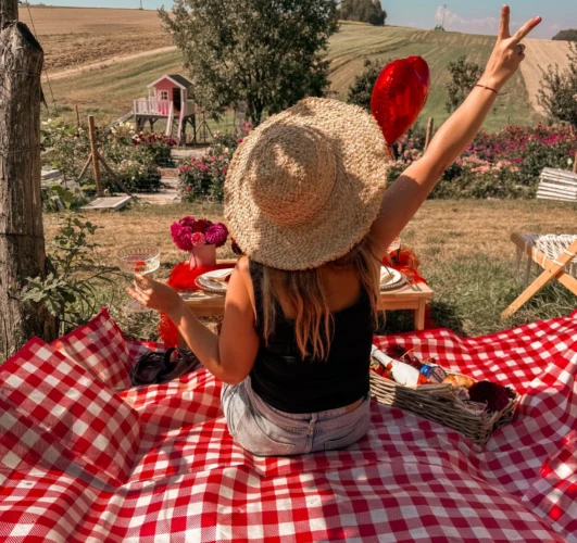 vip-piknik-love