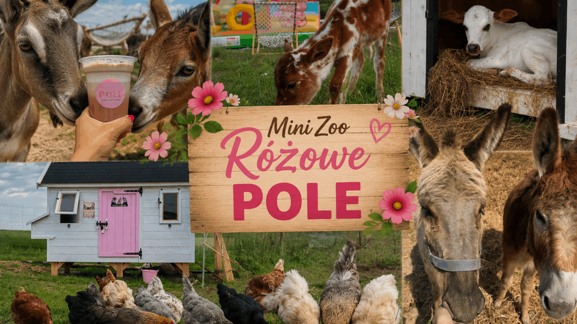 Dlaczego warto odwiedzić nasze Mini Zoo? 🩷