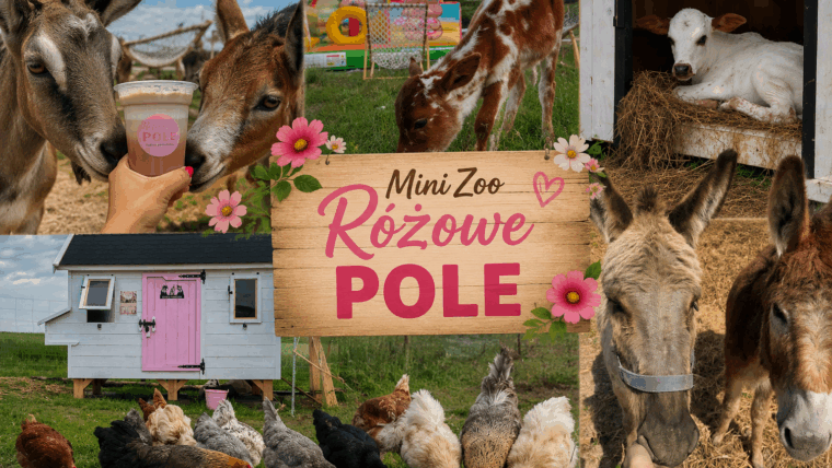 Dlaczego warto odwiedzić nasze Mini Zoo? 🩷